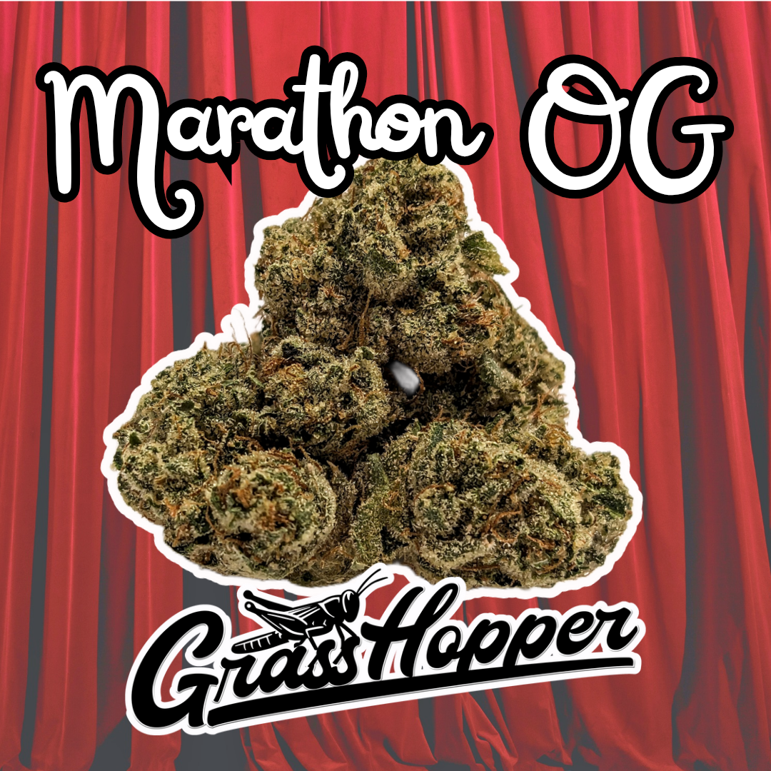 Marathon OG - Type 1 Hemp Flower