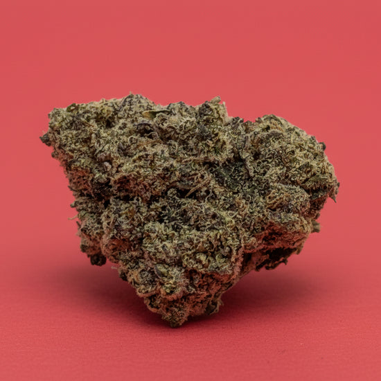 Close-up of cannabis bud on a green background