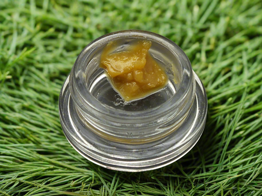 Haze Connect Live Rosin
