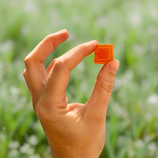 THC + CBG Gummies - Blood Orange