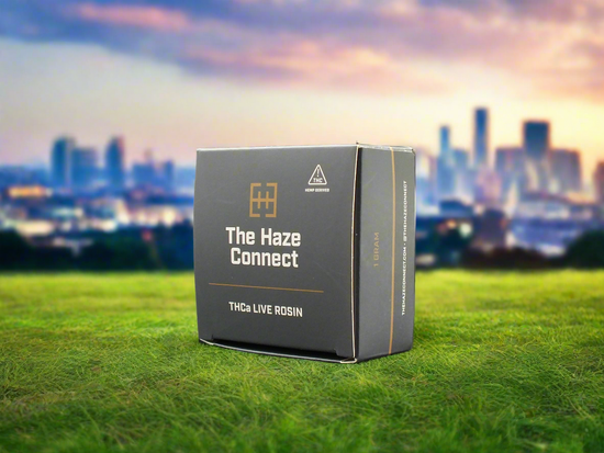 Haze Connect Live Rosin