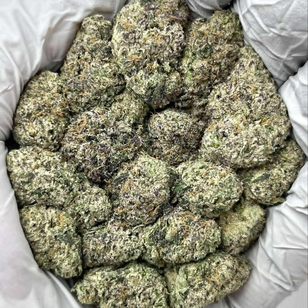 Lemon Cherry Gelato - Type 1 Hemp Flower