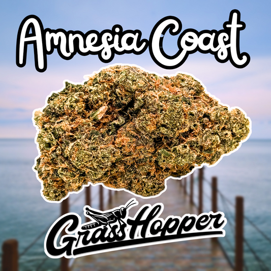 Amnesia Coast - Type 1 Hemp Flower GREEN LABEL