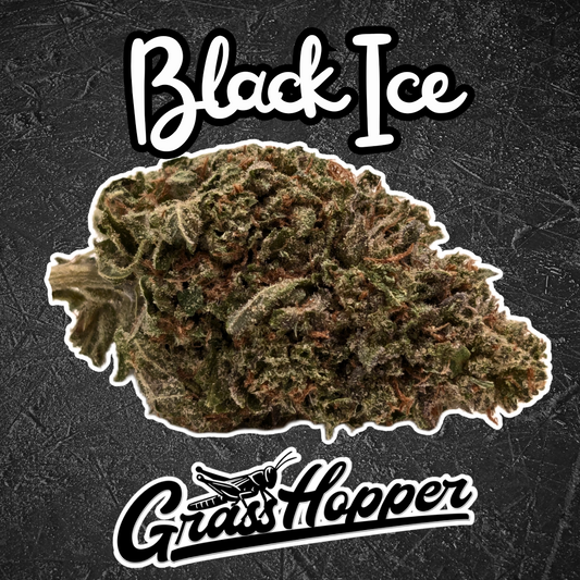 Black Ice - Type 1 Hemp Flower