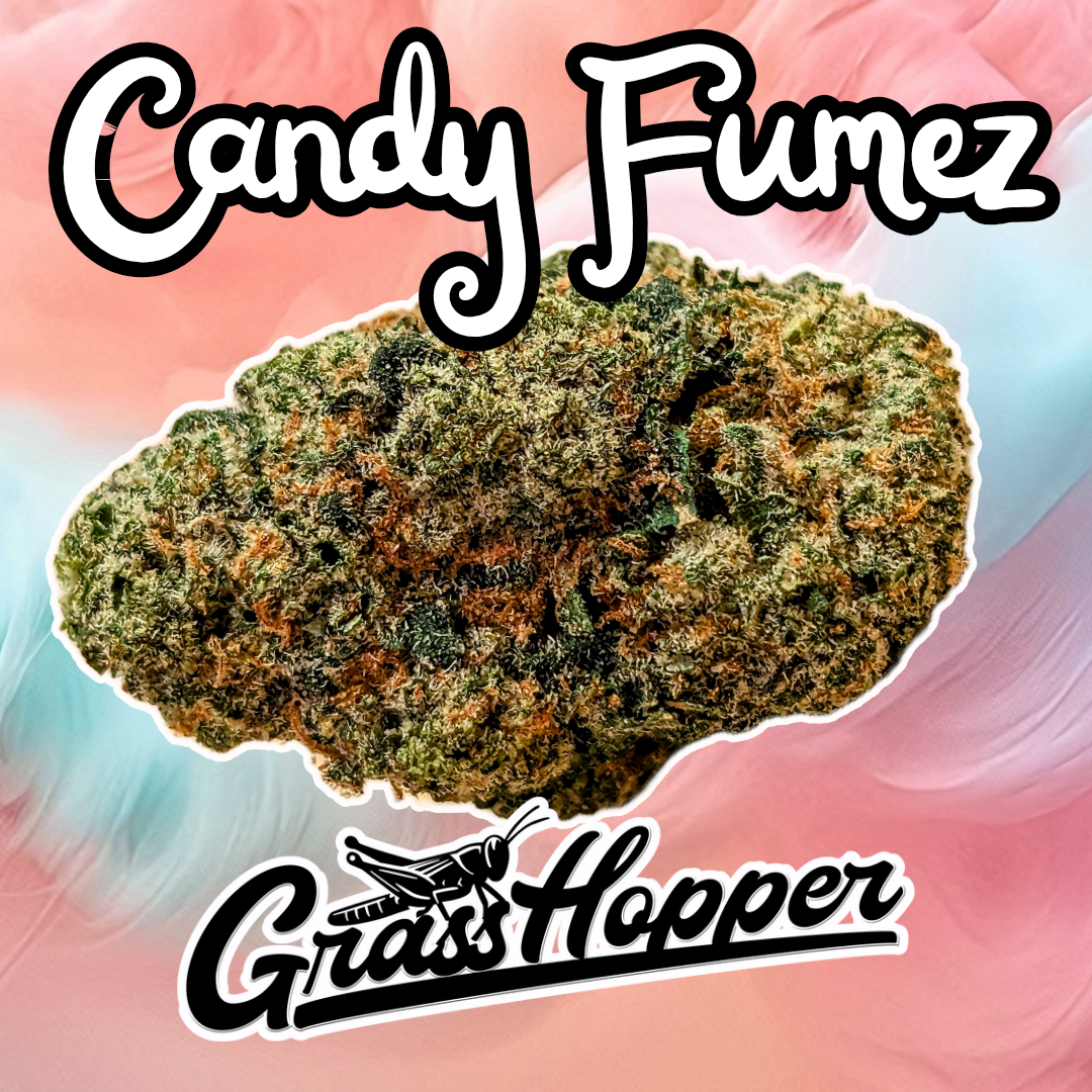 Candy Fumez - Type 1 Hemp Flower