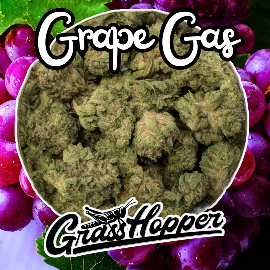 Grape Gas - Type 1 Hemp Flower