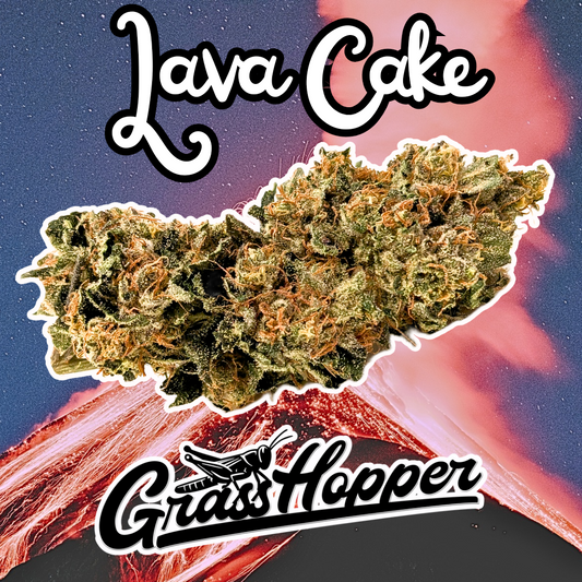 Lava Cake - Type 1 Hemp Flower GREEN LABEL