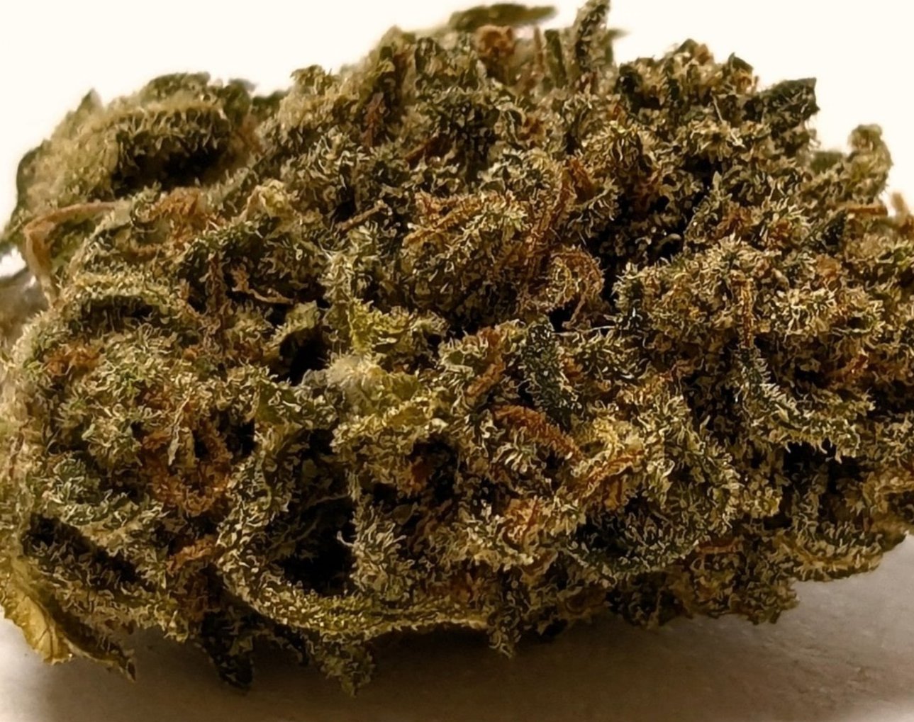 Remedy - Type 3 Hemp Flower