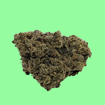 Close-up of cannabis bud on a green background