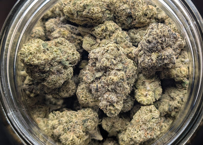 Lemon Cherry Gelato - Type 1 Hemp Flower