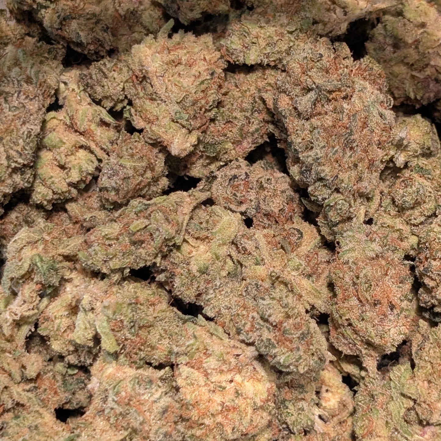 Blue Dream - Type 1 Hemp Flower