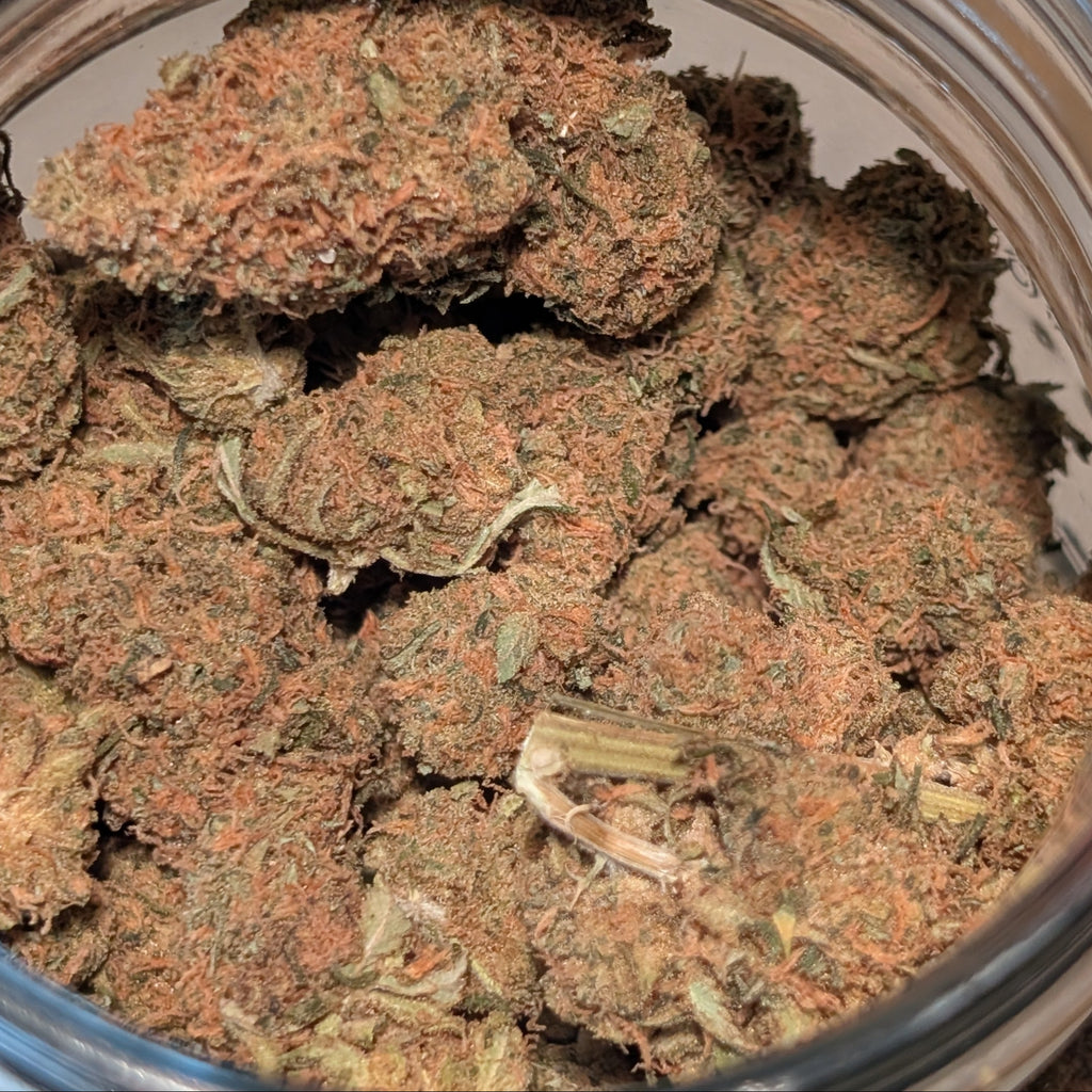Miss Maple - Type 3 Hemp Flower