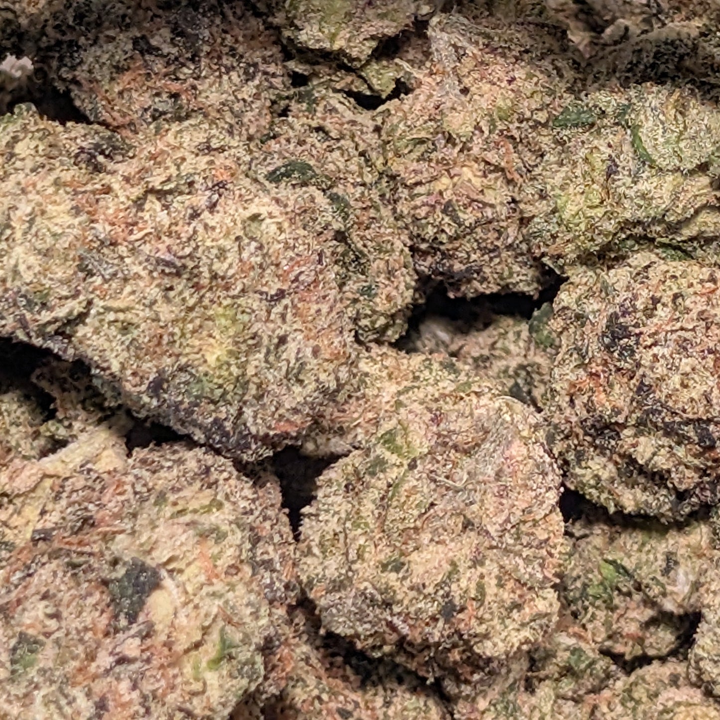 Bubblegum - Type 1 Hemp Flower