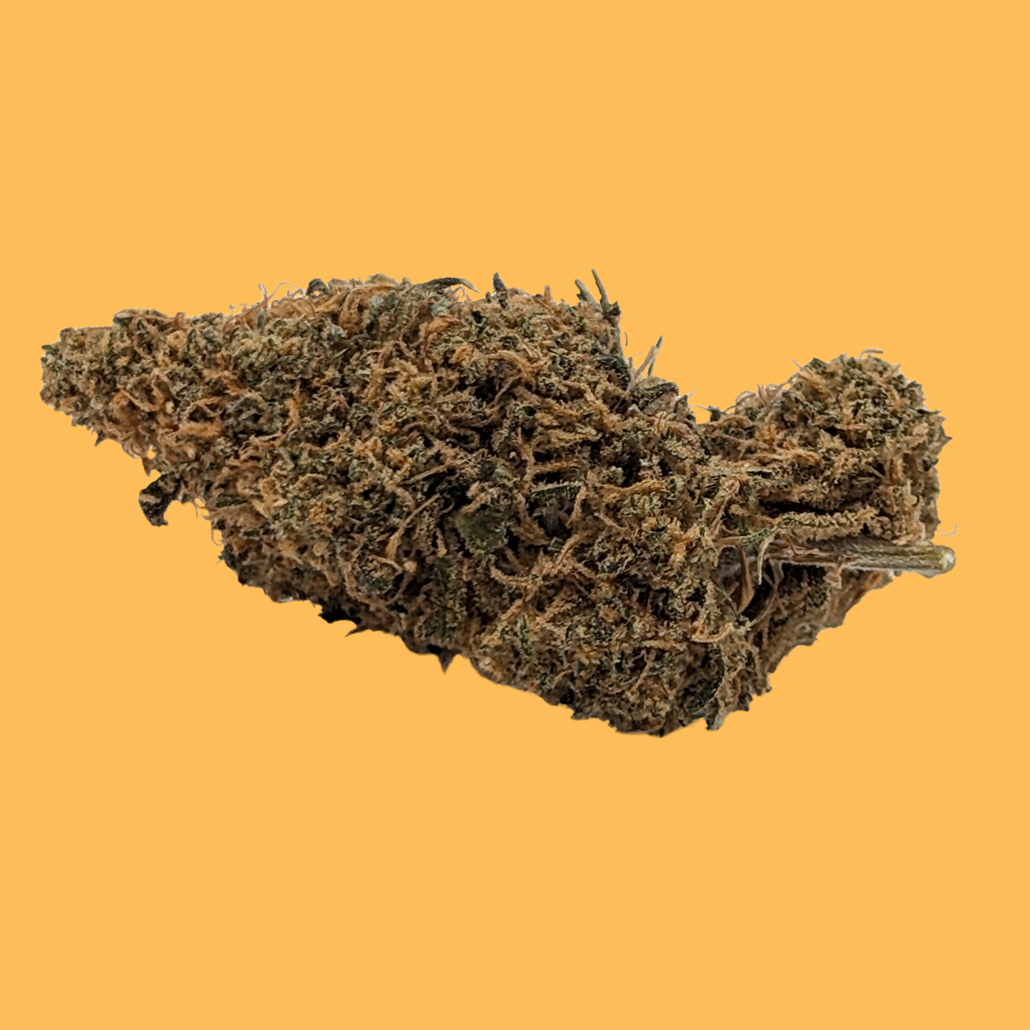 Miss Maple - Type 3 Hemp Flower