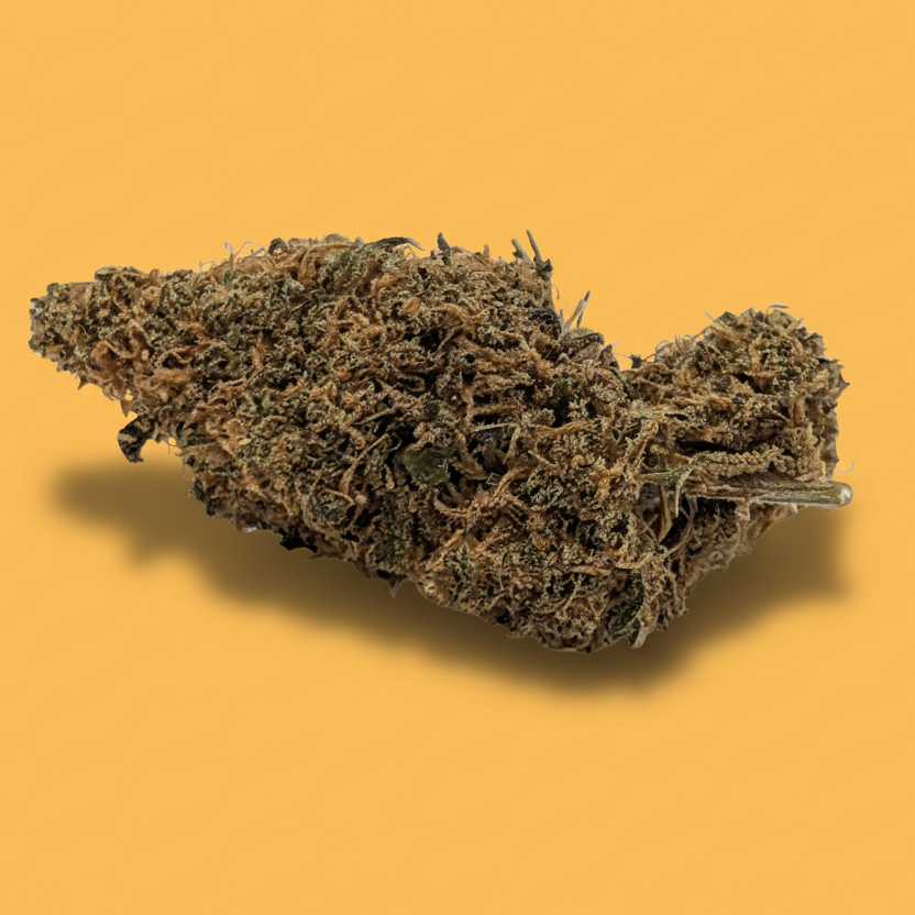 Miss Maple - Type 3 Hemp Flower