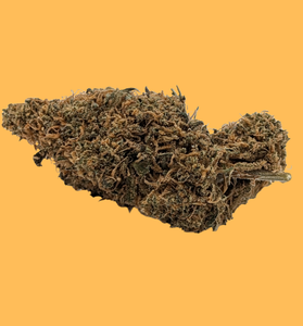 Miss Maple - Type 3 Hemp Flower