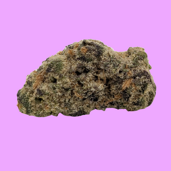 Hooch - Type 1 Hemp Flower