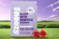 Snoozy Sleep W/Benefits - Bedtime Gummies: EXTRA STRENGTH (2 PACK)