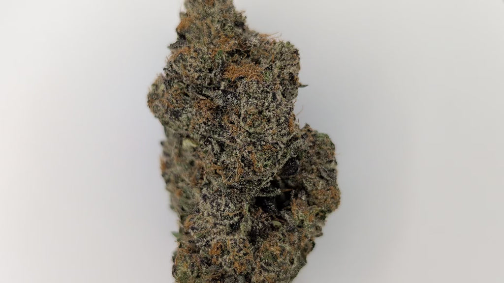 Oreo Blizzy - Type 1 Hemp Flower