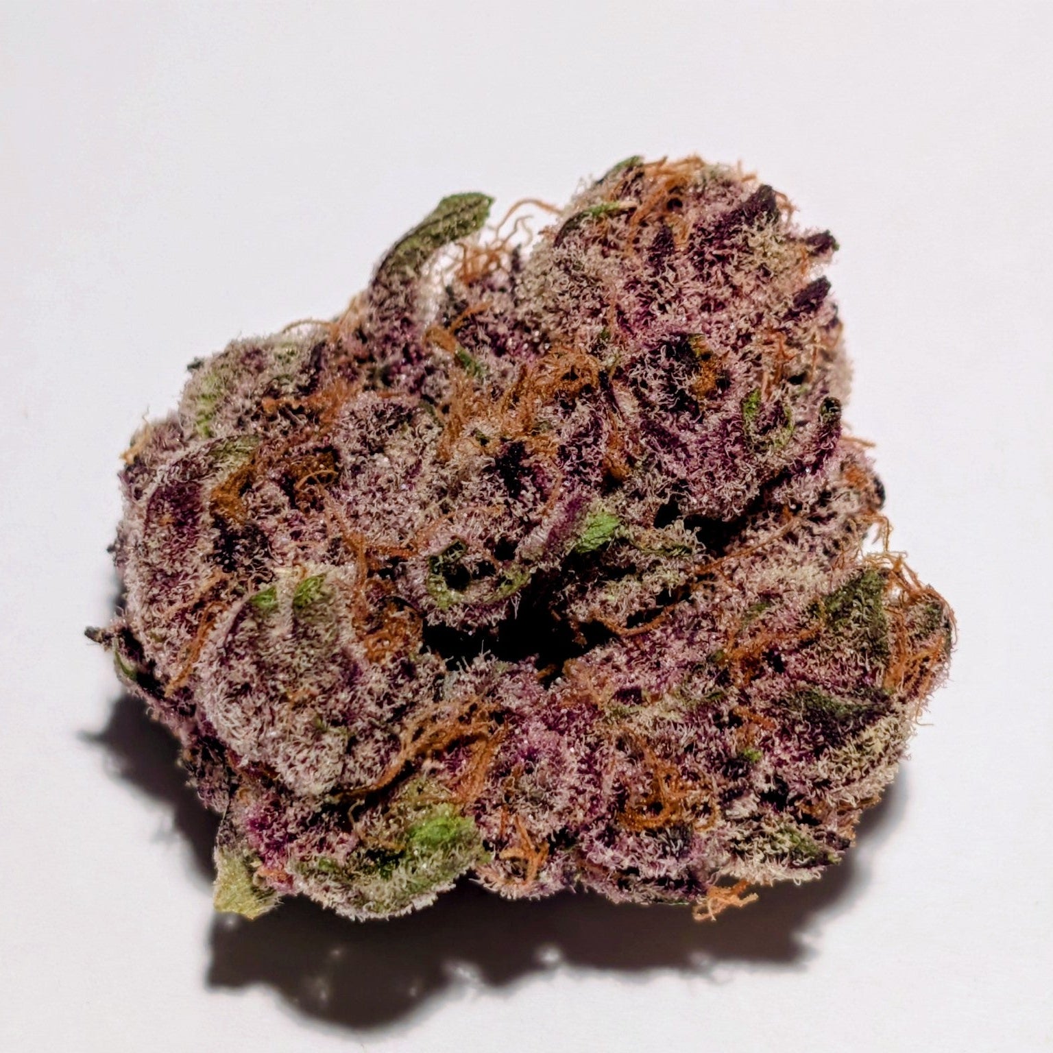 Cherry Popperz - Type 1 Hemp Flower