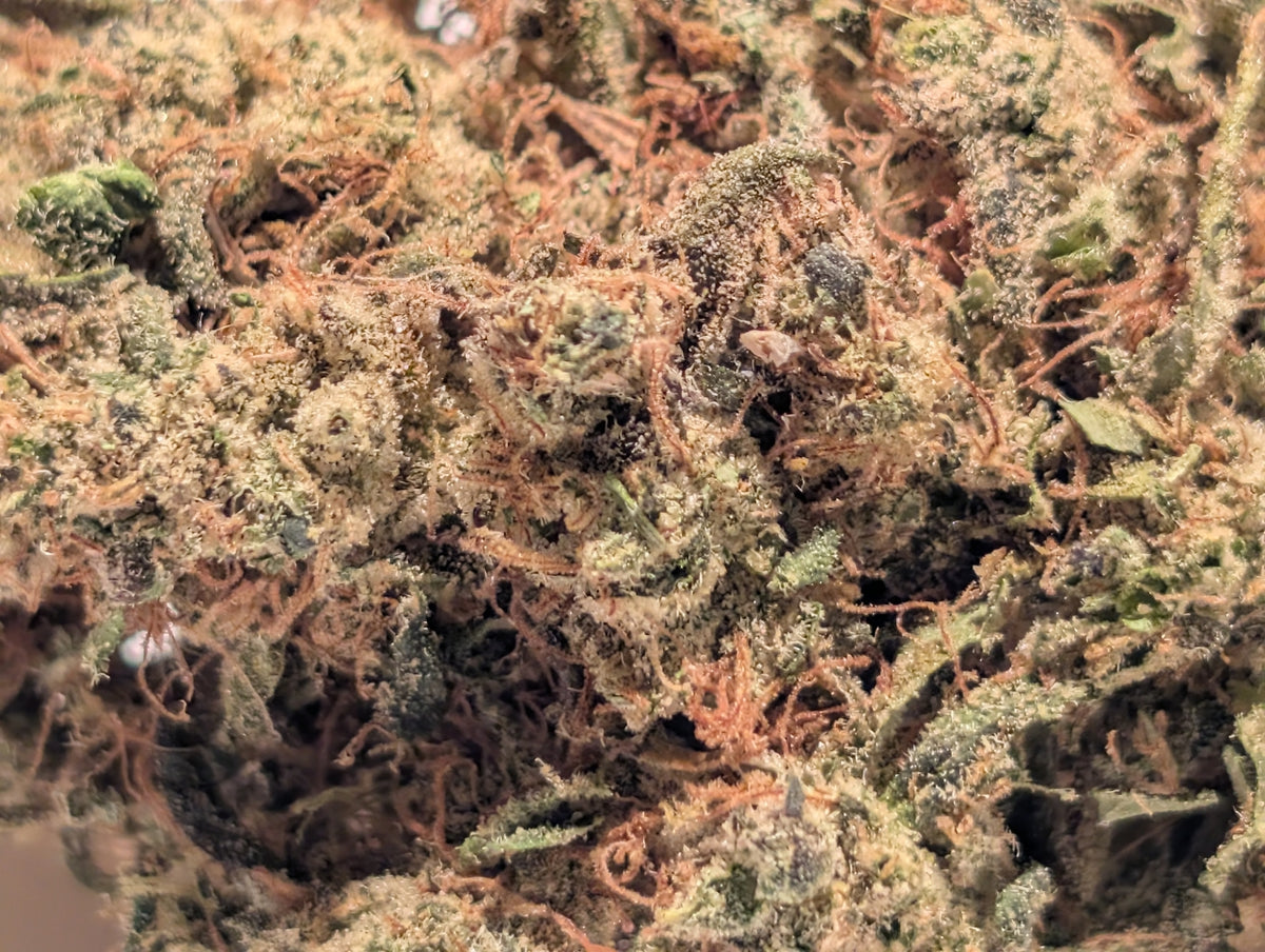 Blue MAC x Runtz - Type 1 Hemp Flower