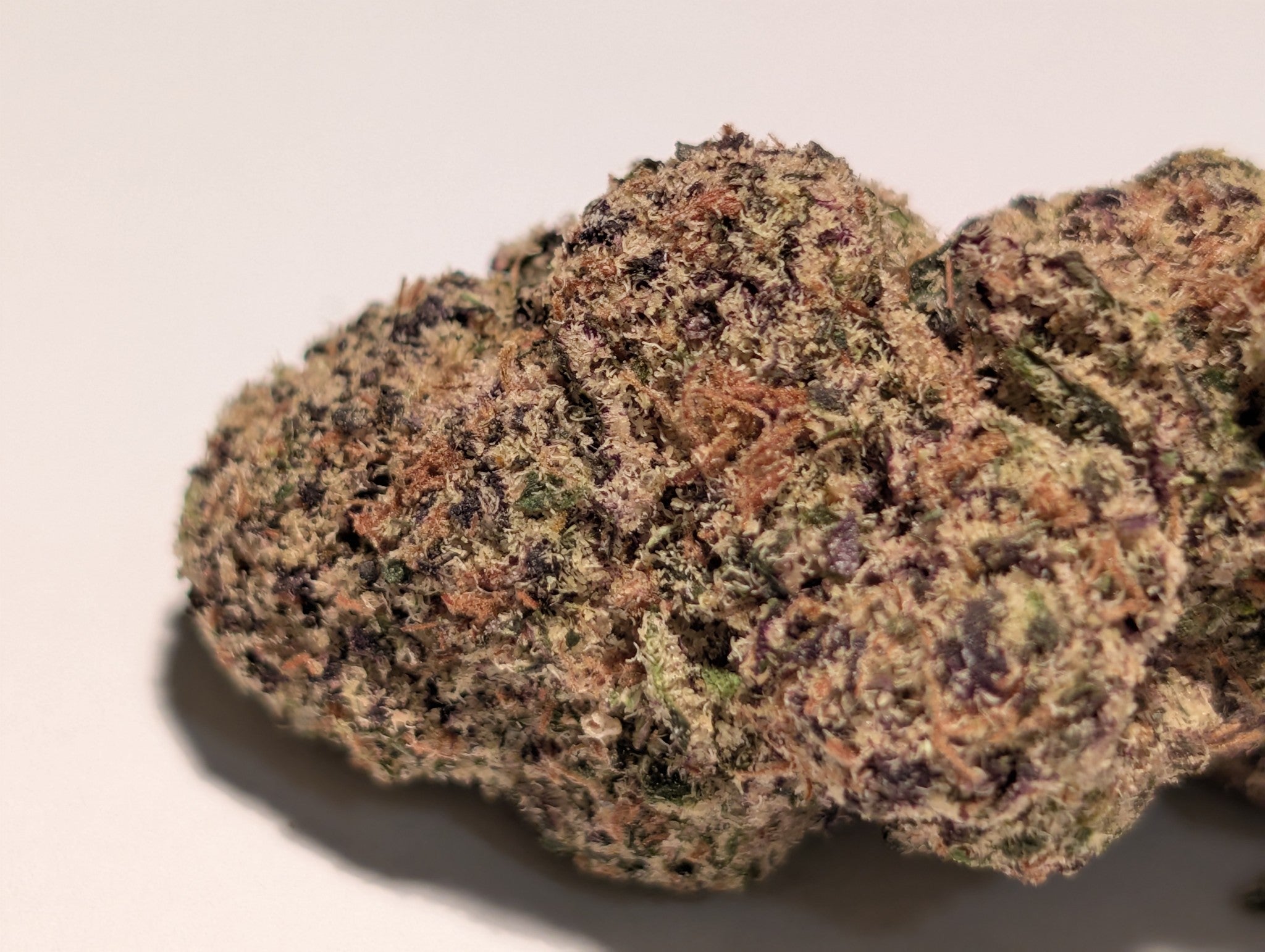 MotorMouth - Type 1 Hemp Flower
