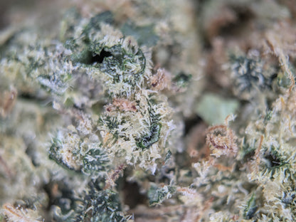Twisted Terpez - Type 1 Hemp Flower