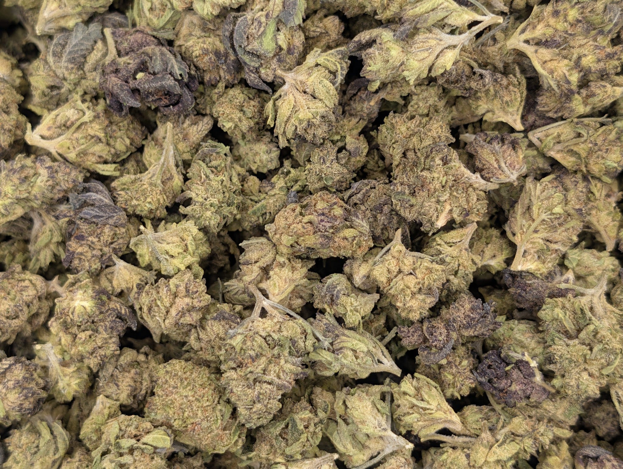 Burger Breath - Type 1 Hemp Flower