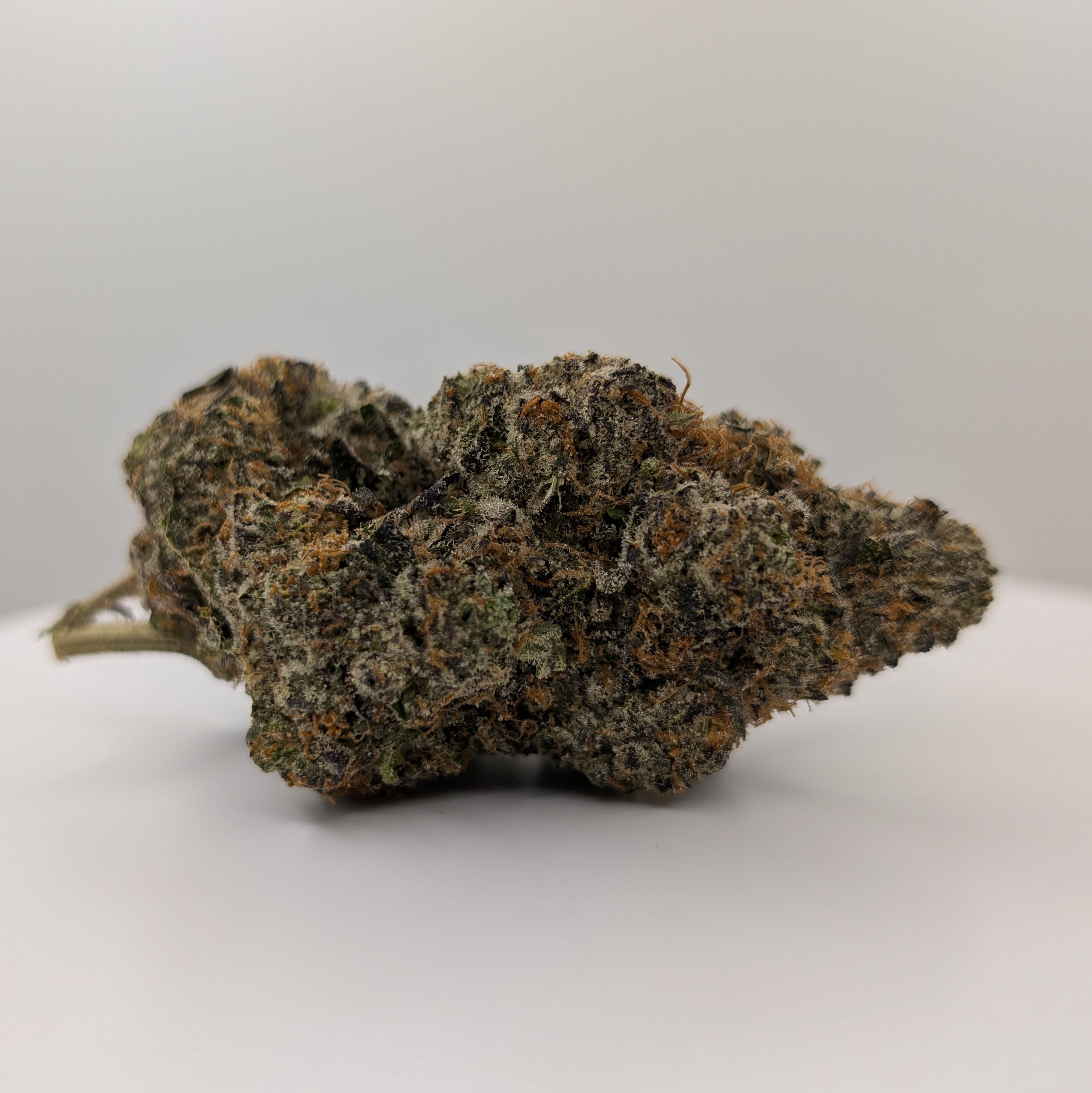 Oreo Blizzy - Type 1 Hemp Flower