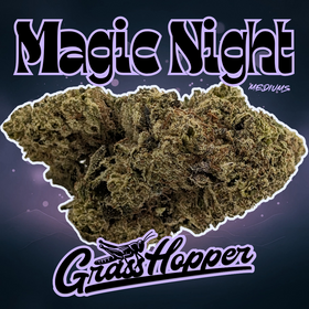 Magic Night - Type 1 Hemp Flower