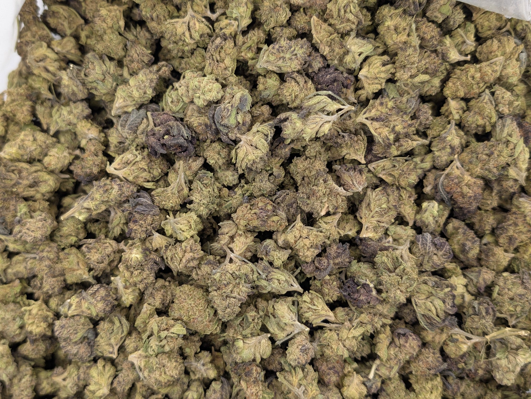 Burger Breath - Type 1 Hemp Flower