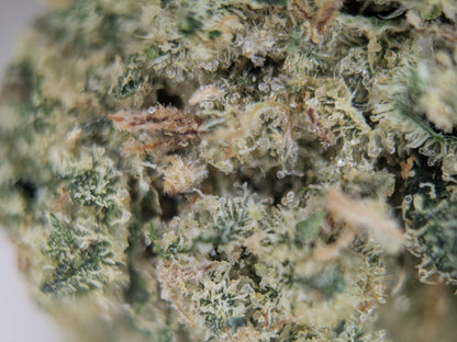 Twisted Terpez - Type 1 Hemp Flower