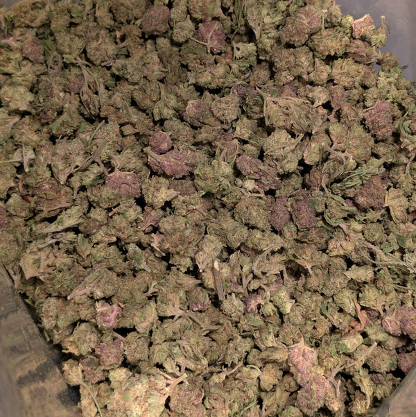 Strawberry Pop Tarts - Type 1 Hemp Flower