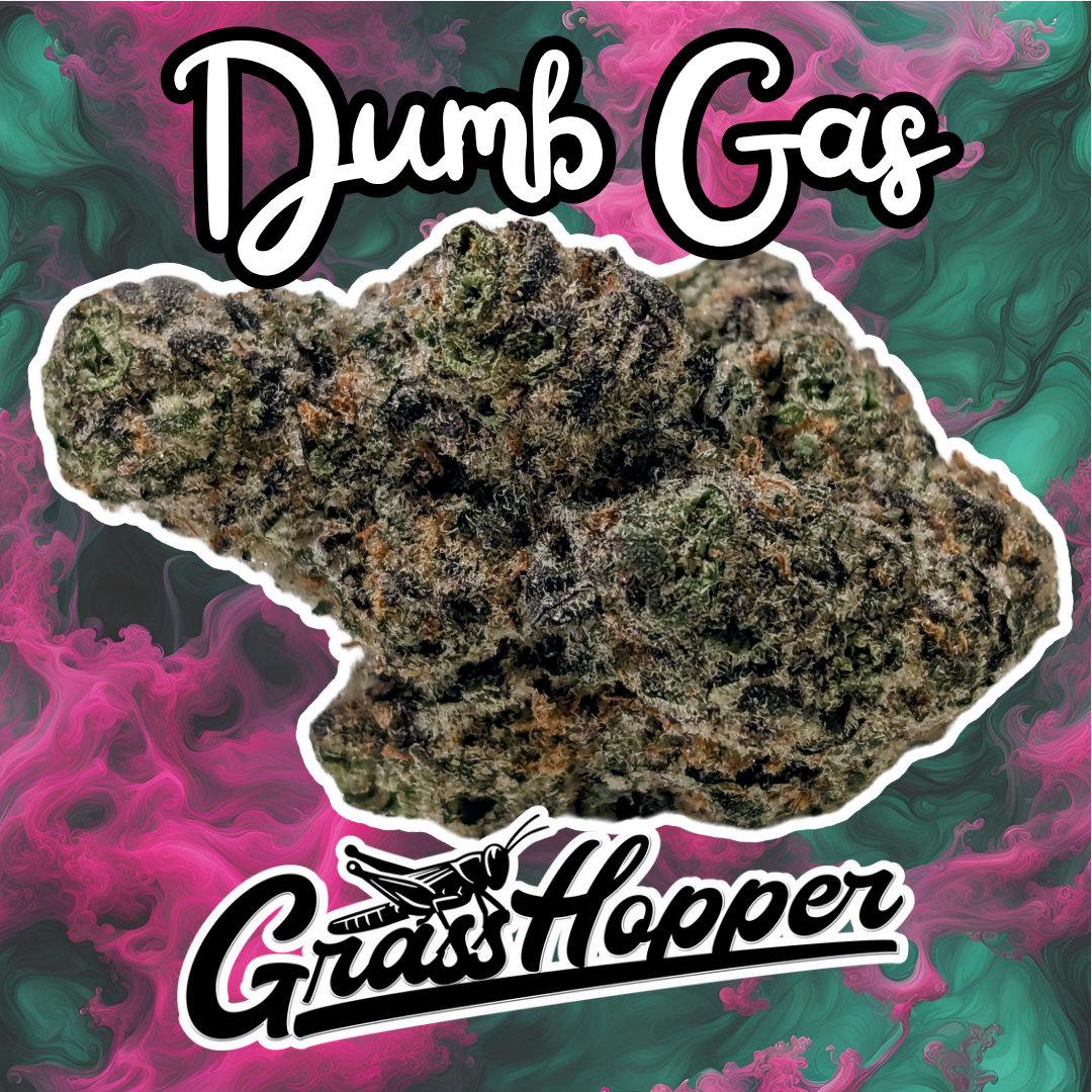 Dumb Gas - Type 1 Hemp Flower