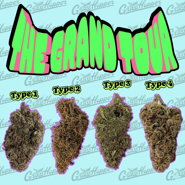 The Grand Tour - The Hemp Flight