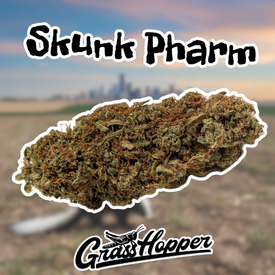 Skunk Pharms - Type 2 Hemp Flower