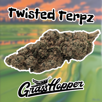 Twisted Terpez - Type 1 Hemp Flower