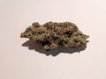 Blue MAC x Runtz - Type 1 Hemp Flower