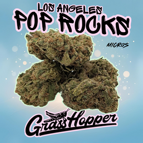 LA Pop Rocks (micros) - Type 1 Hemp Flower