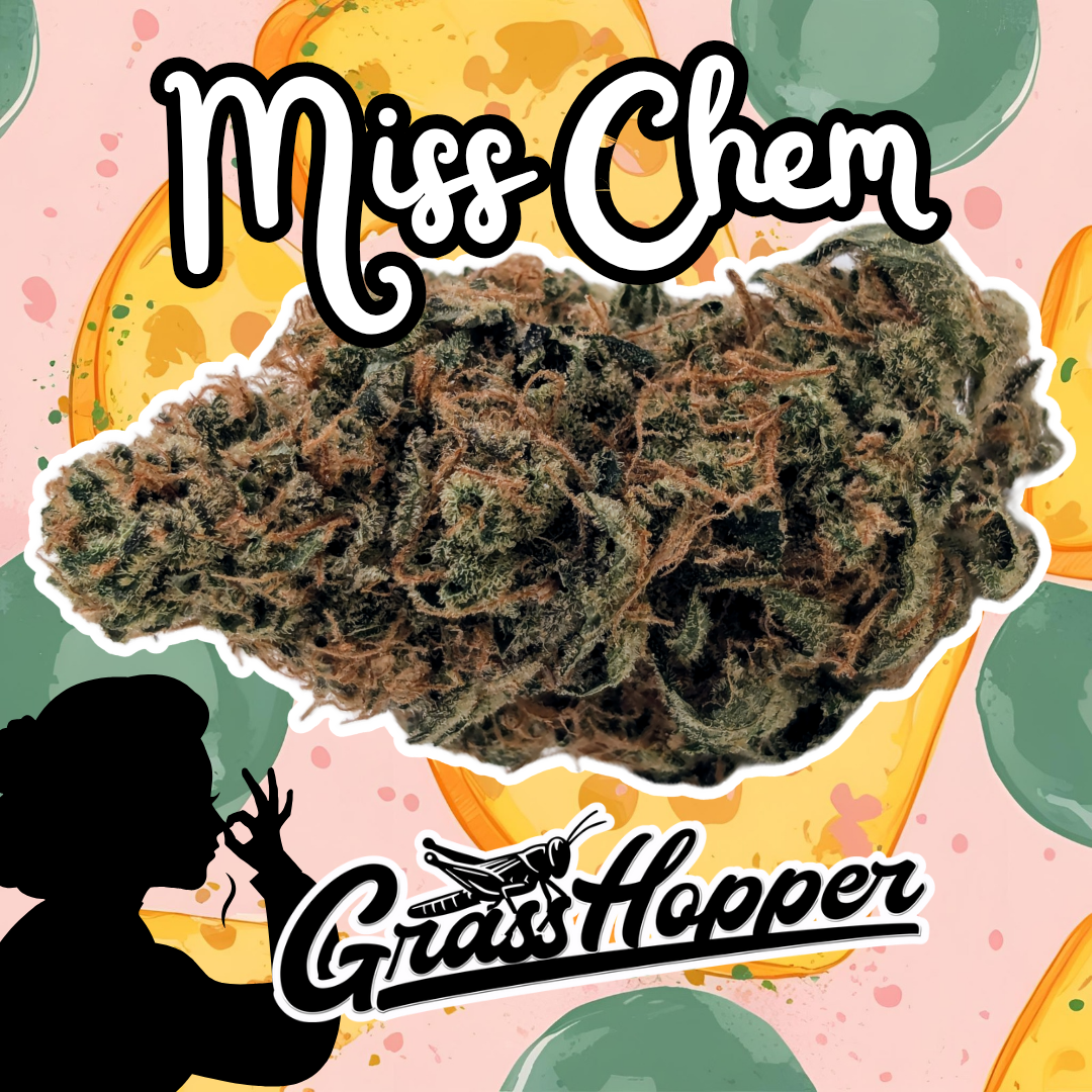 Miss Chem - Type 2 Hemp Flower